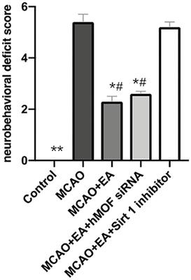 Electroacupuncture Alleviates Cerebral Ischemia/Reperfusion Injury in Rats by Histone H4 Lysine 16 Acetylation-Mediated Autophagy